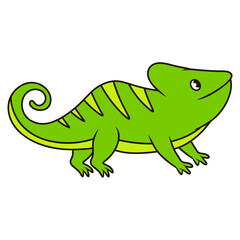 chameleon vector illustration