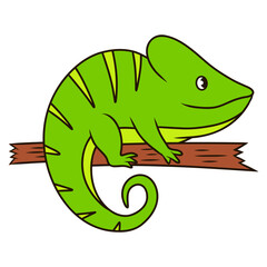 illustration of chameleon animal