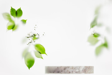 Green leaves on a white  blurred background. Product presentation scene.