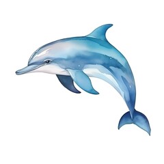 Obraz premium Playful Dolphin in Triadic Watercolor Design