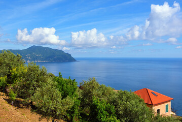 Punta chiappa Ligurian coast taken from Pieve Ligure Alta Italy