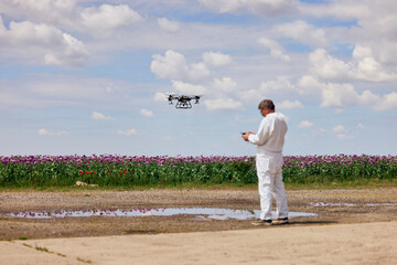 A male operator standing next to the poppy seeds field and controlling the agro dron.
