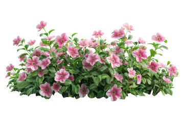 Naklejka premium Bush of pink flowers beautiful blooming and green leaves for decorative artwork,product advertising and banner,isolated on transparent background.