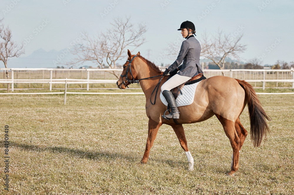 Poster Horse, walking and woman on ranch or farm for fitness, training and hobby or competition. Sport, animal and female jockey in countryside for event, dressage and performance in arena in Texas