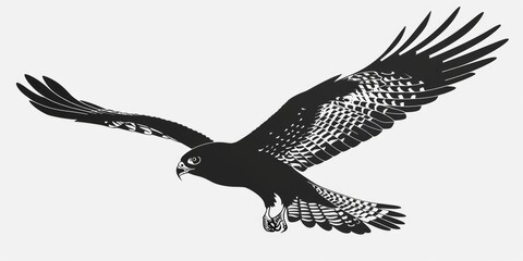 A black and white image of a bird of prey in flight, with its wings spread wide