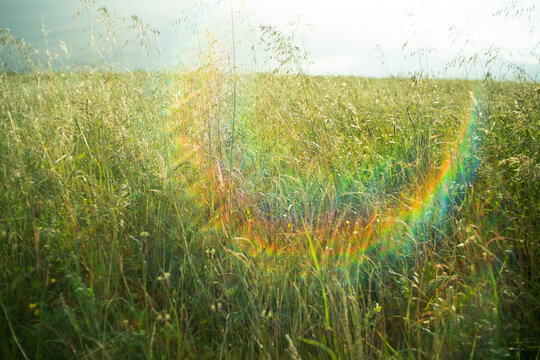 Rainbow spectrum in serene grassy meadow