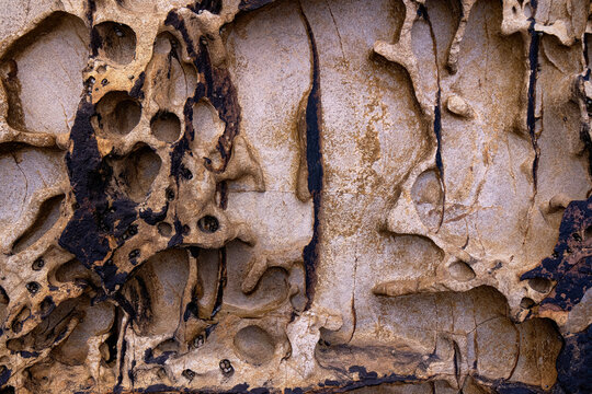 Intricate weathered rock with natural holes and textures