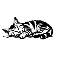 Vector Image of a Sleeping Cat or Kitten