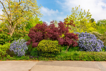 Regent's park landscape in spring, London, UK