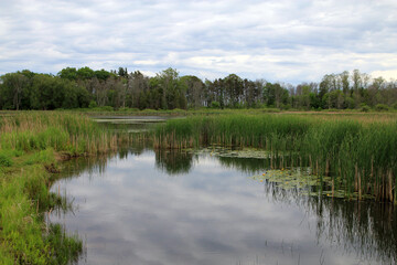 Fall landscape with pond in the forest