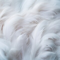 Pastel feather background abstract texture