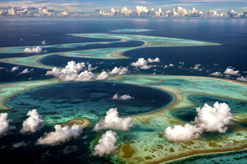 aerial view of the river