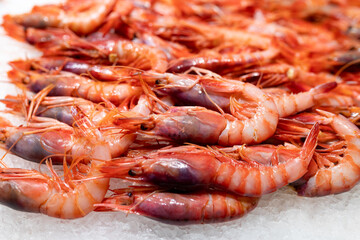 Tasty yummy Fresh organic tiger shrimps or prawns on ice background.
