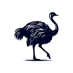 Ostrich bird silhouette Clip art isolated vector illustration on white background