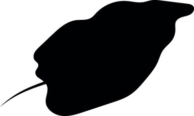 Flat isolated leaf silhouette on white background.  Tropical leaf vector illustration. Ecology. © SvgOcean