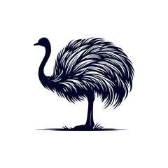 Ostrich bird silhouette Clip art isolated vector illustration on white background