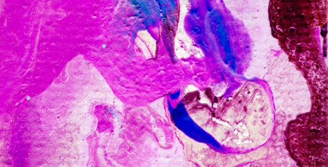 Captivating Translucence: Unleashing the Charm of Liquid Art in Oil Paint
