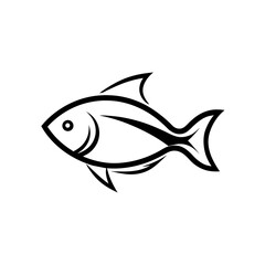 fish isolated on white