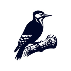 Woodpecker bird silhouette Clip art isolated vector illustration on a white background