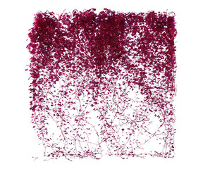 siepe erba prato Albero con e senza foglie bianche, arancioni, verdi, gialle, rosse fondo trasparente e isolato inverno con e senza neve o foglie