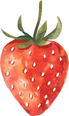 Obraz premium cute strawberry, isolated element, watercolor style