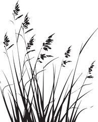 Grass silhouette vector isolated on white background   © A.P vector 