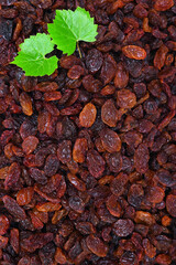 food background of raisins and grape leaves