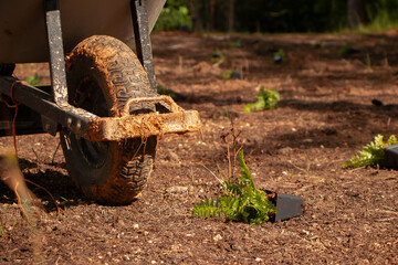 old wheelbarrow in a garden