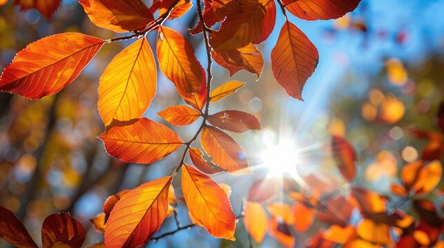 Vibrant tree leaves glowing in sunlight convey a feeling of liveliness and vigor
