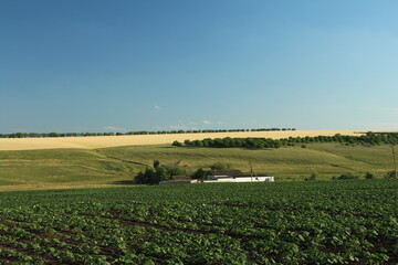 A farm with a house and trees