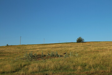 A grassy field with power lines