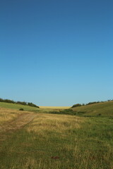 A field with grass and blue sky
