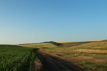 A dirt road through a field