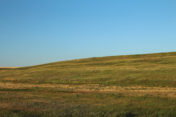 Fototapeta premium A grassy field with a blue sky