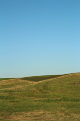 A grassy field with blue sky