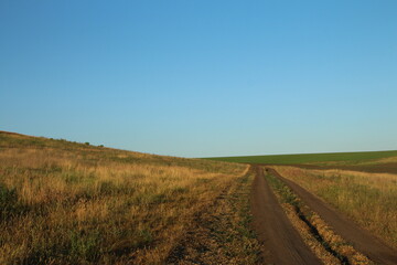 A dirt road through a field