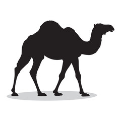 Camel silhouettes and icons. black flat color simple elegant white background Camel animal vector and illustration.