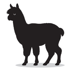 Alpaca silhouettes and icons. black flat color simple elegant white background Alpaca animal vector and illustration.