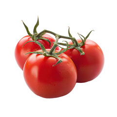 Tomatoes isolated on white or transparent background