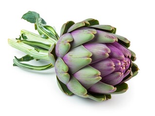 Obraz premium Fresh purple artichoke with green leaves on a white background.