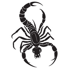 Scorpion silhouettes and icons. black flat color simple elegant white background Scorpion animal vector and illustration.