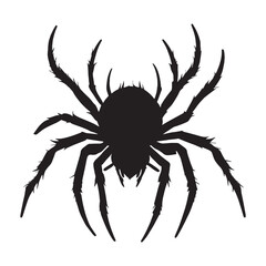 Obraz premium Spider silhouettes and icons. black flat color simple elegant white background Spider animal vector and illustration.