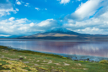 View of Laguna Colorada at Eduardo Avaroa Andean Fauna National Reserve - Bolivia