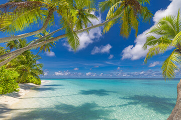 Summer beach landscape. Tropical island paradise. Exotic coast, palm trees, pristine sea, blue...