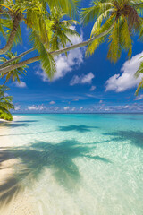 Summer beach landscape. Tropical island paradise. Exotic coast, palm trees, pristine sea, blue happy sky. Amazing nature pattern. Exotic destination travel background, vacation mood perfect wallpaper