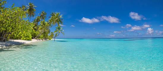 Fototapeta premium Summer beach landscape. Tropical island paradise. Exotic coast, palm trees, pristine sea, blue happy sky. Amazing nature pattern. Exotic destination travel background, vacation mood perfect wallpaper