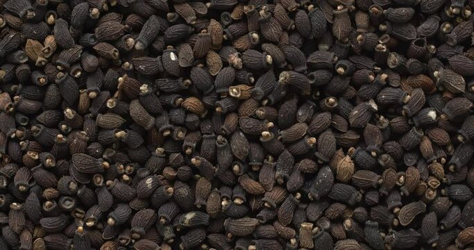 Close-up view of borage (Borago officinalis) seeds as an abstract texture. Rotation around the lower left point. 