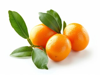 A ripe kumquat with a green leaf isolated on a white background.