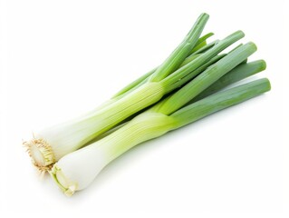 A bunch of fresh green leek tied together with a green rubber band, isolated on a white background.