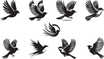 Black and white  birds silhouette vector design